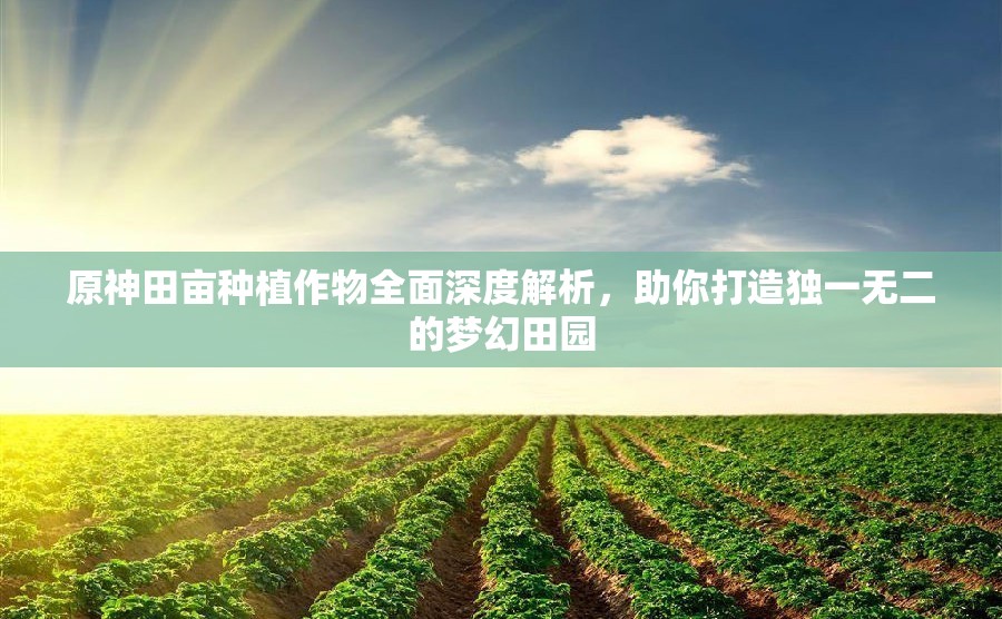 原神田畝種植作物全面深度解析，助你打造獨(dú)一無二的夢幻田園