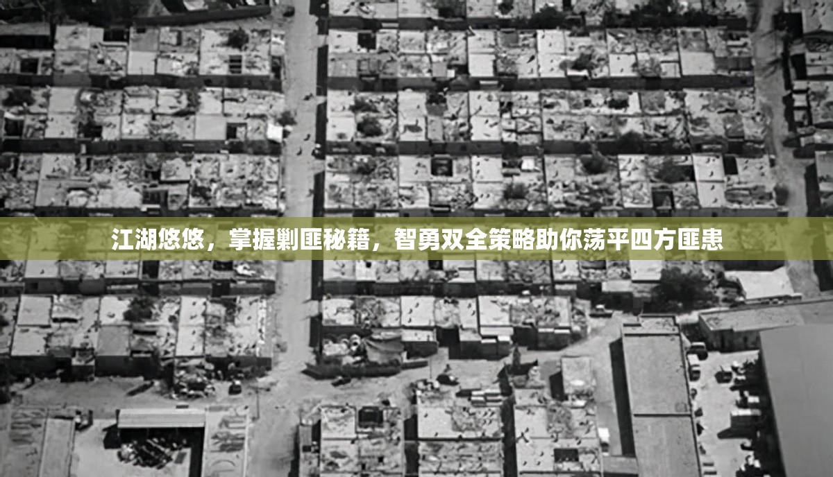 江湖悠悠，掌握剿匪秘籍，智勇雙全策略助你蕩平四方匪患