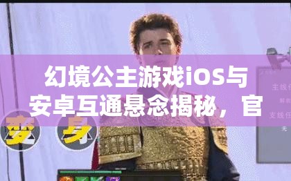 幻境公主游戲iOS與安卓互通懸念揭秘，官服與渠道服全面深度解析