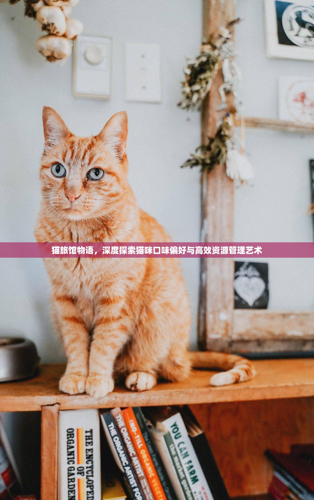 貓旅館物語，深度探索貓咪口味偏好與高效資源管理藝術
