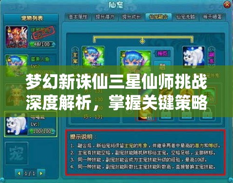 夢幻新誅仙三星仙師挑戰(zhàn)深度解析，掌握關(guān)鍵策略，解鎖全面勝利之道