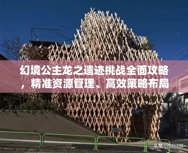 幻境公主龍之遺跡挑戰(zhàn)全面攻略，精準(zhǔn)資源管理、高效策略布局以最大化收益價(jià)值