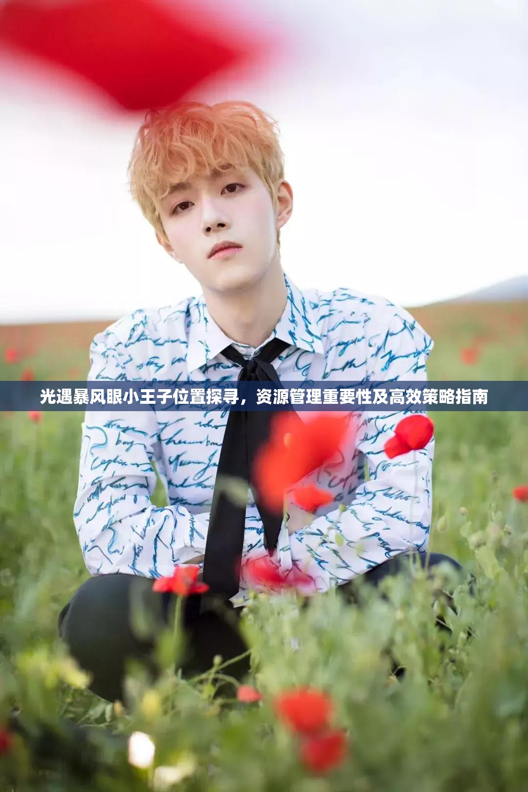 光遇暴風(fēng)眼小王子位置探尋，資源管理重要性及高效策略指南