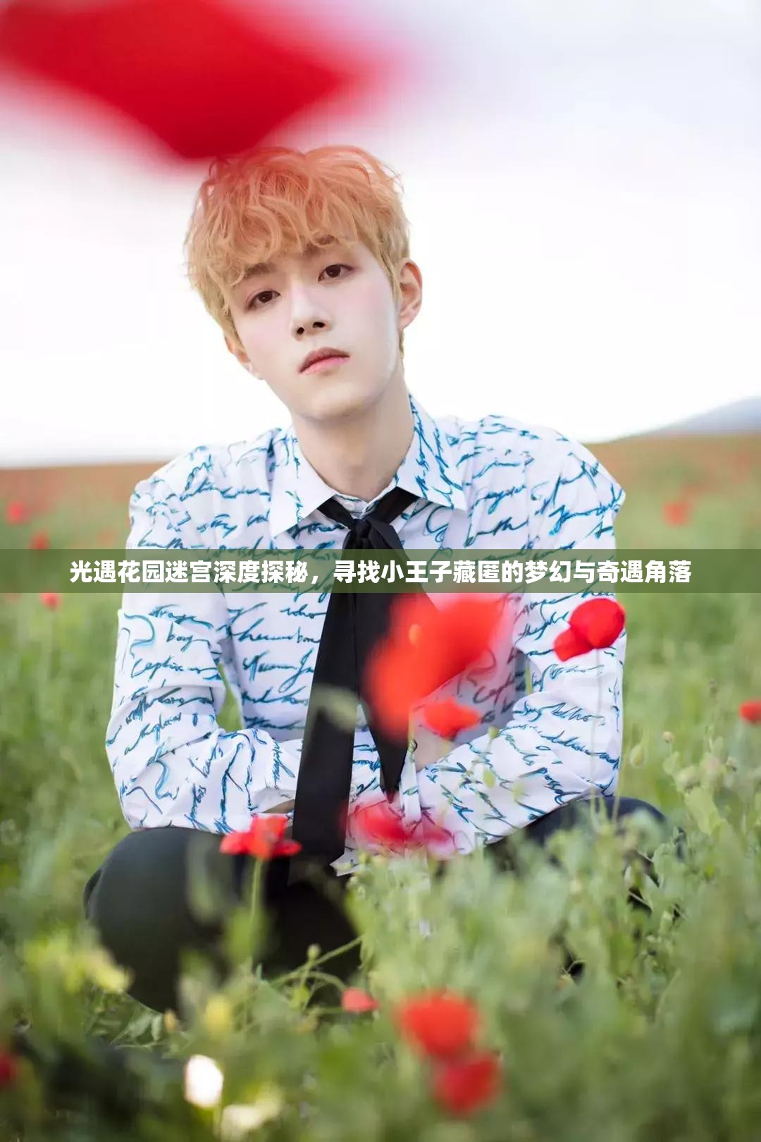 光遇花園迷宮深度探秘，尋找小王子藏匿的夢(mèng)幻與奇遇角落
