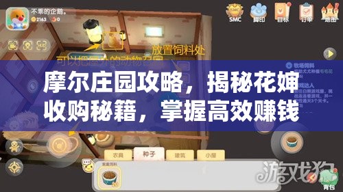 摩爾莊園攻略，揭秘花嬸收購(gòu)秘籍，掌握高效賺錢(qián)新策略與姿勢(shì)