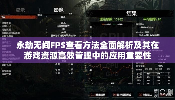 永劫無(wú)間FPS查看方法全面解析及其在游戲資源高效管理中的應(yīng)用重要性