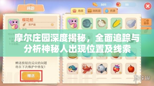摩爾莊園深度揭秘，全面追蹤與分析神秘人出現(xiàn)位置及線索